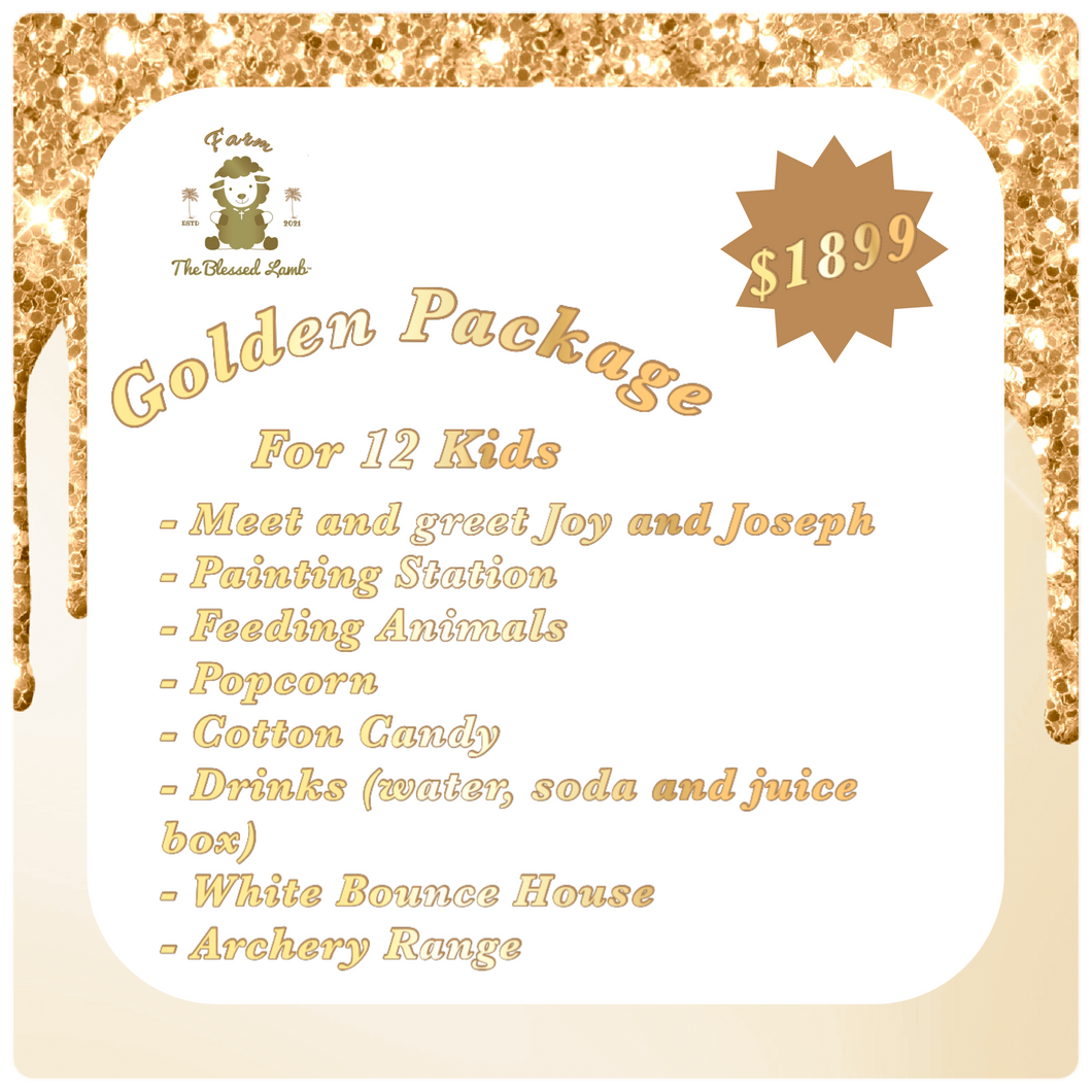 Golden Package for 12 kids - Birthday Party