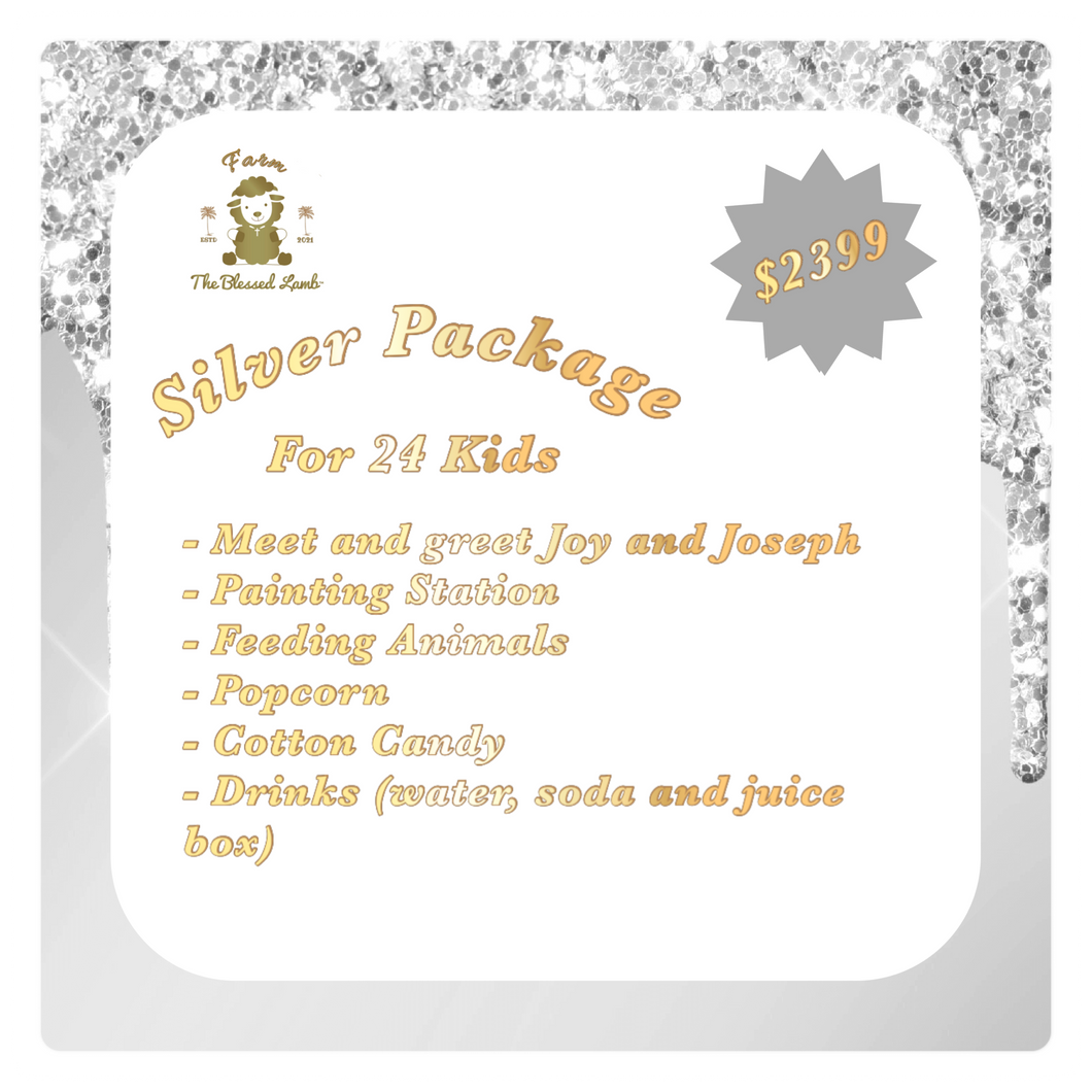 Silver Package for 24 Kids - Birthday Party